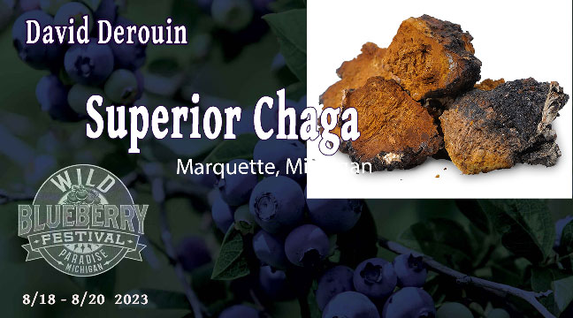 Superior Chaga |70